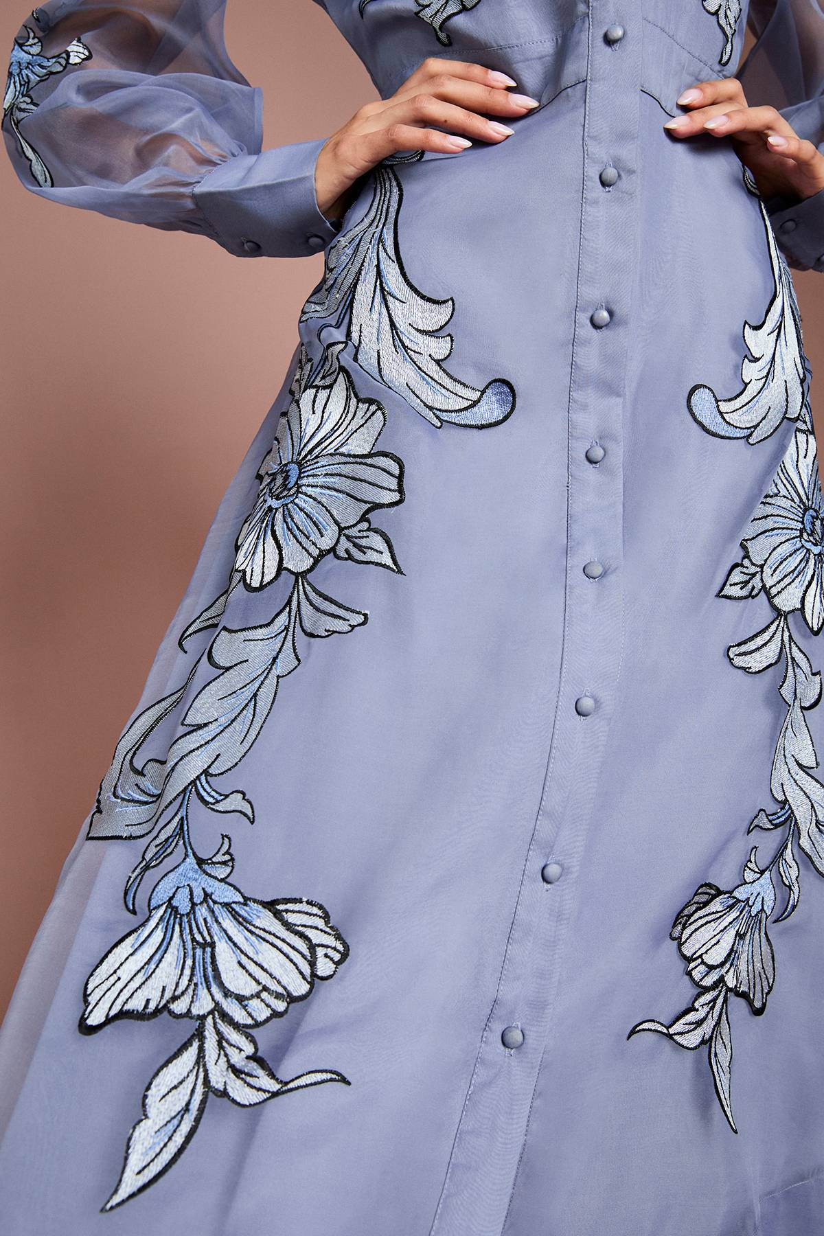 Coast Robe Midi À Manches Longues Avec Broderie Positionnée