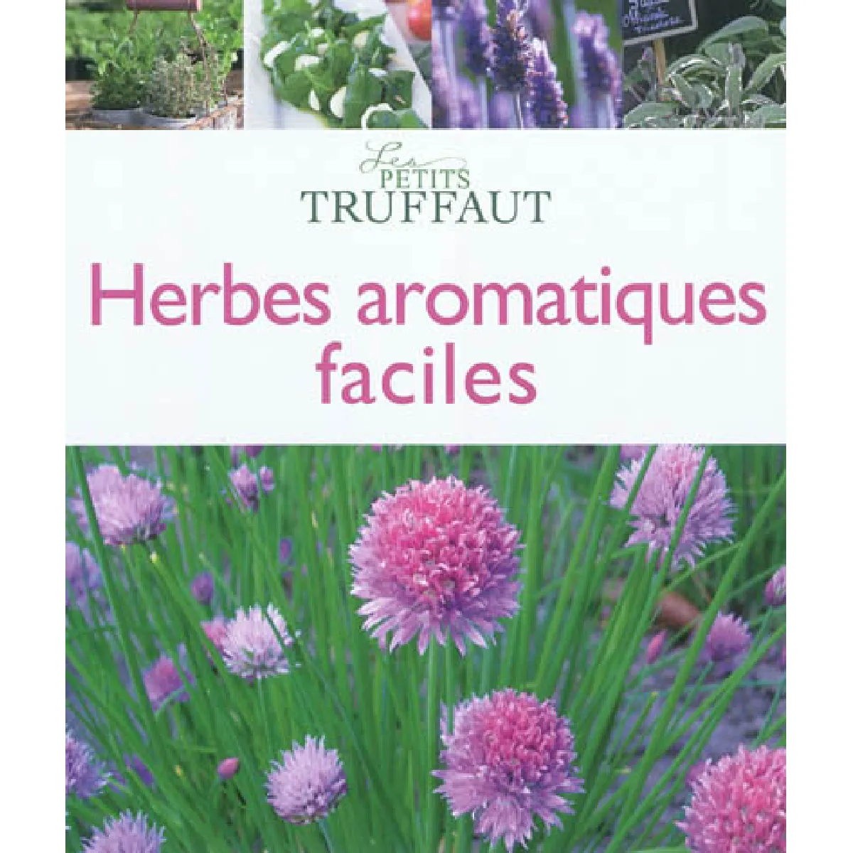 Herbes aromatiques faciles · Occasion