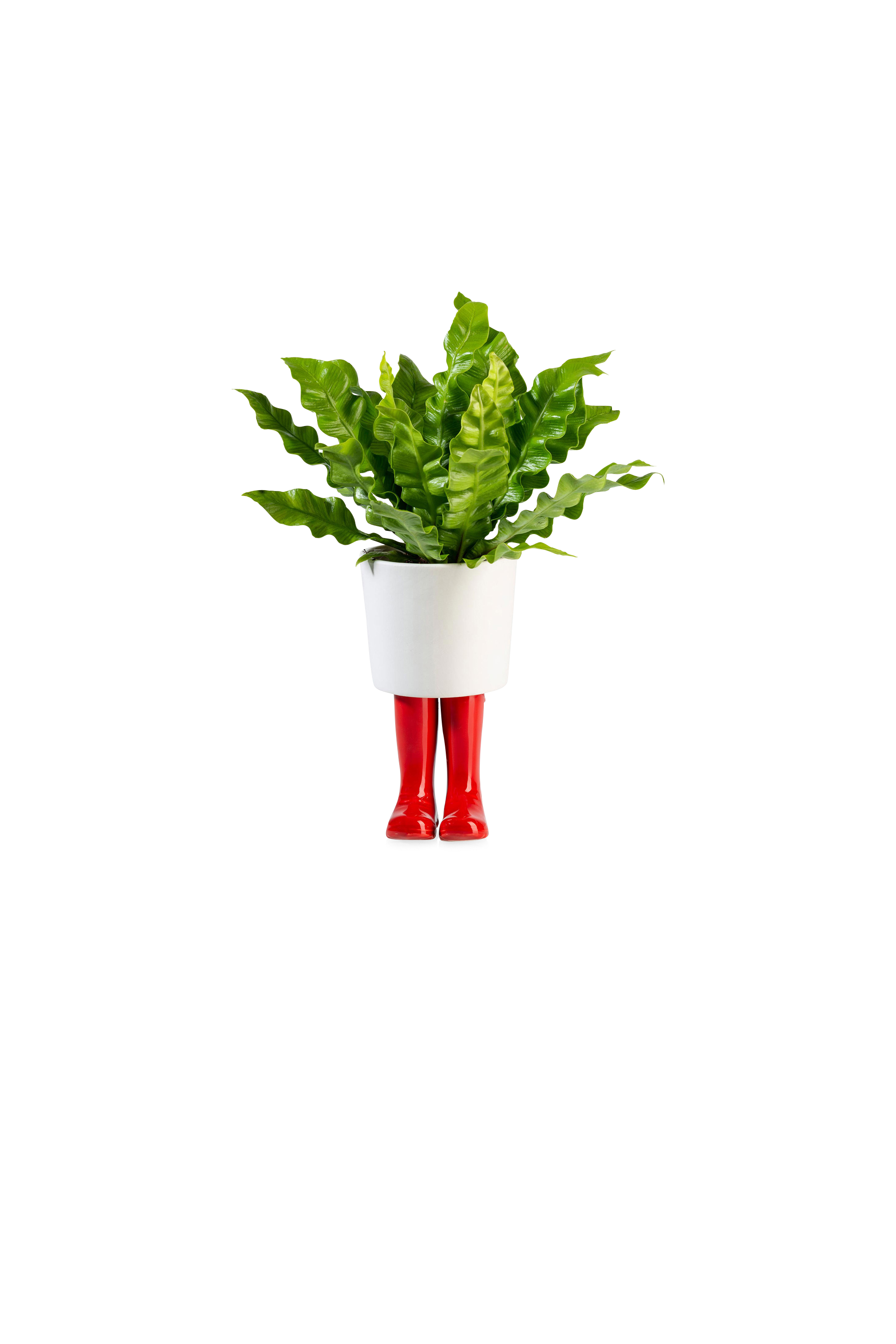 BITTEN Cache-pot CACHE-POT BOTTES ROUGE PM Rouge