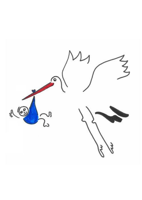 Eva Gans | Geboortekaart | Ooievaar