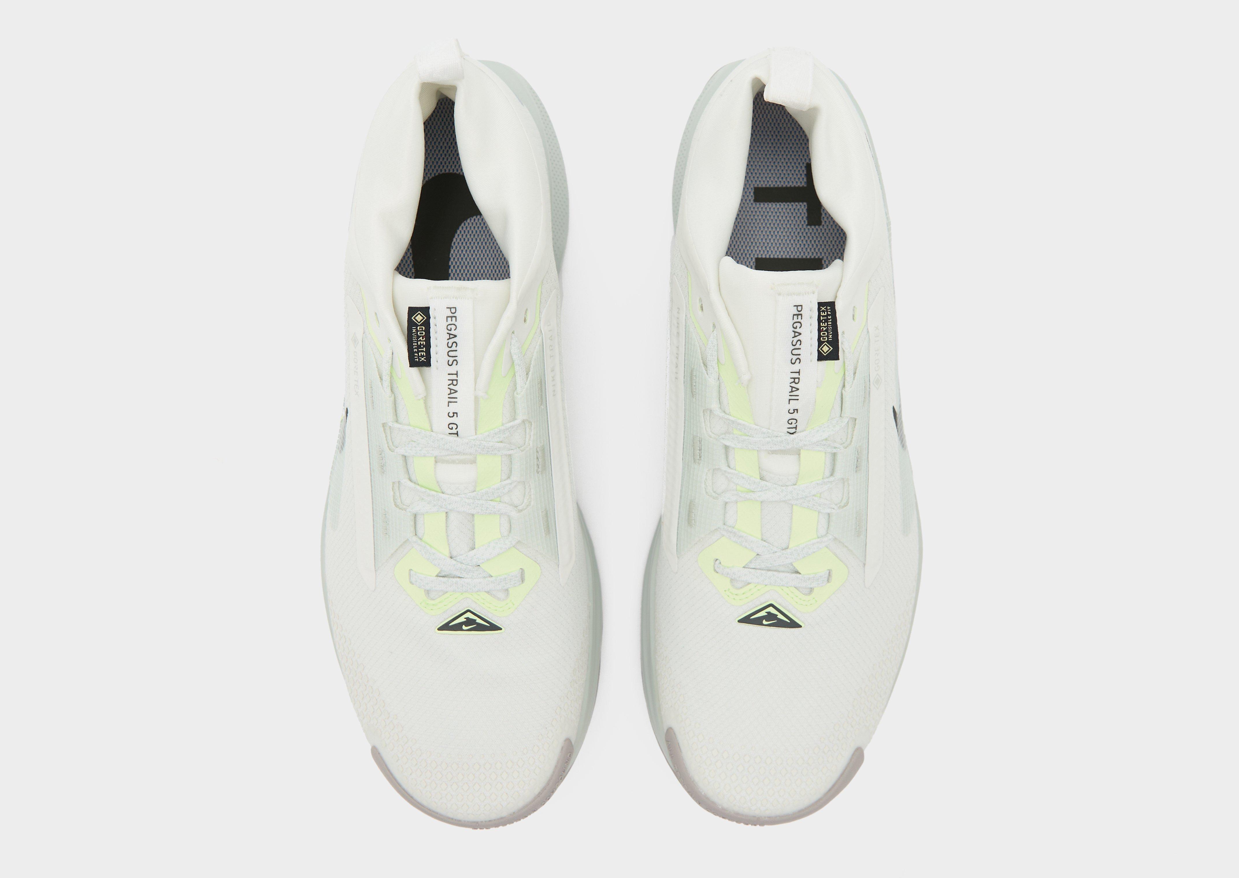 Nike Pegasus Trail 5 GORE-TEX Homme