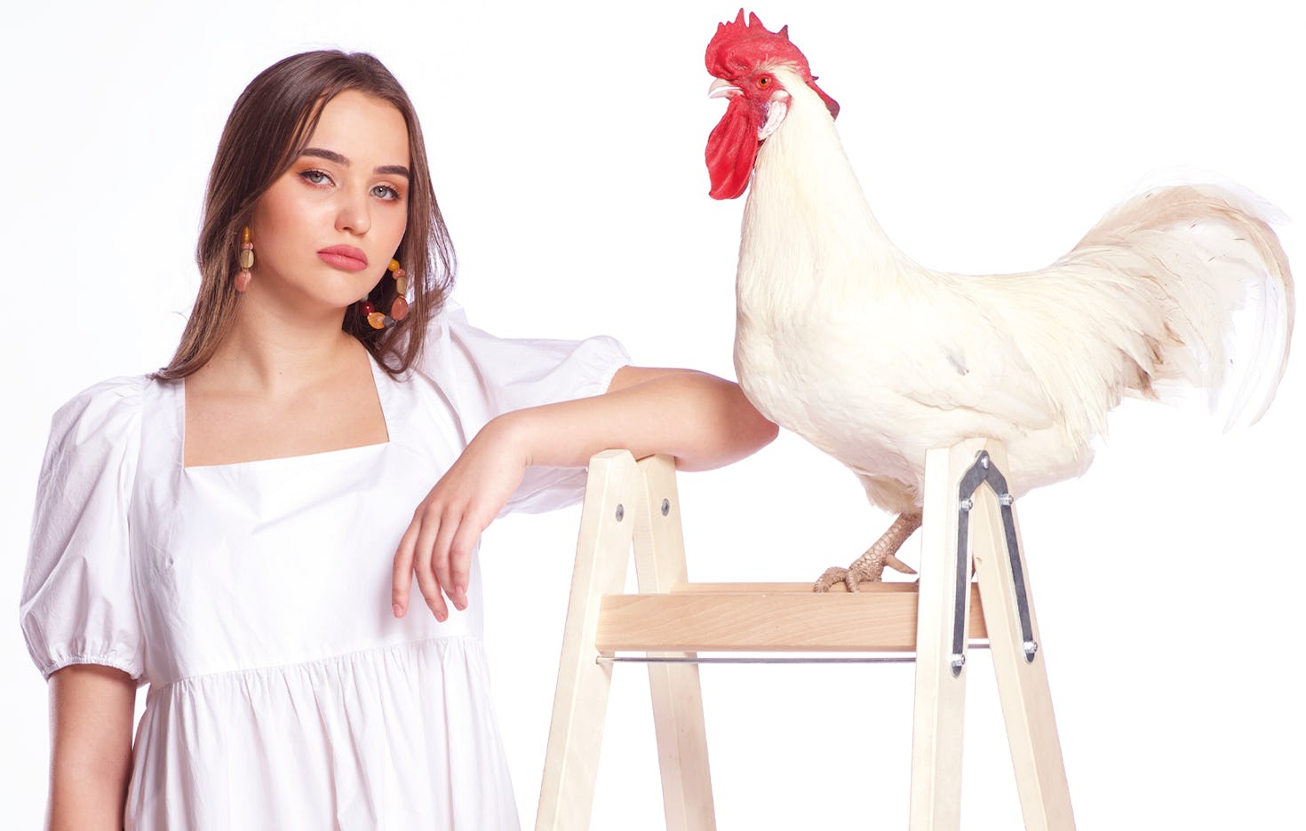Tier Fotoshooting in Hannover