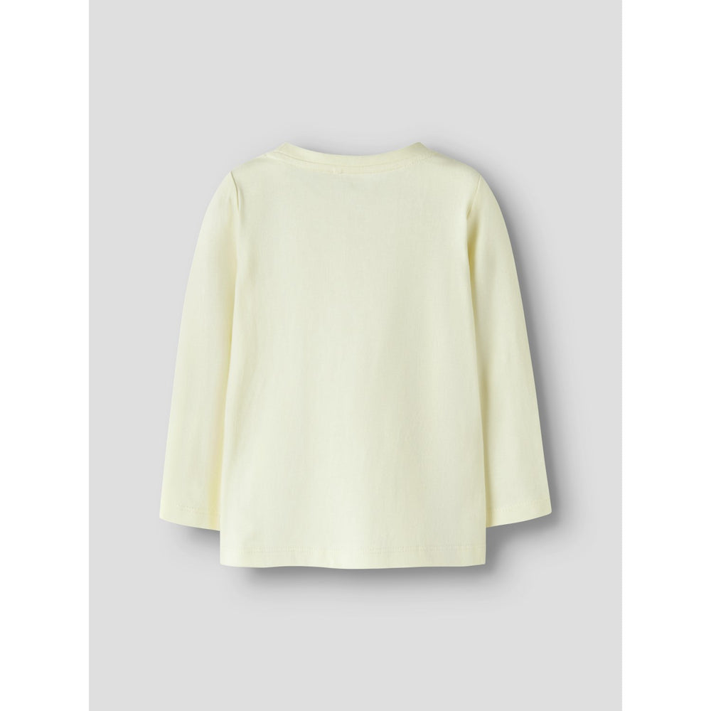 Køb Name It Pear Sorbet Nmfdeppa Ls Top Box