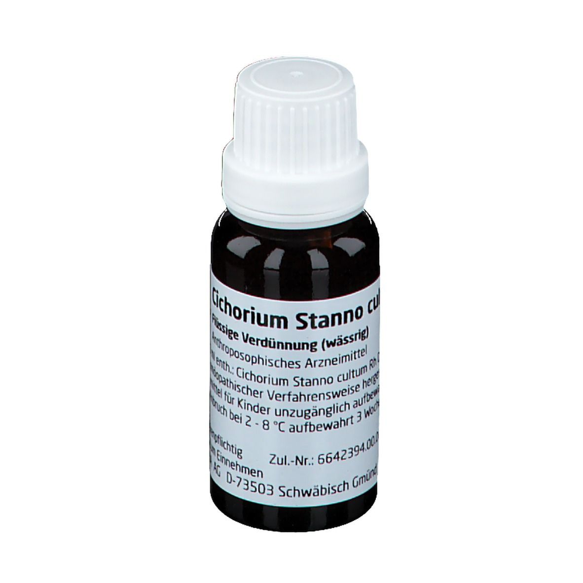Cichorium Stanno cultum Rh D3