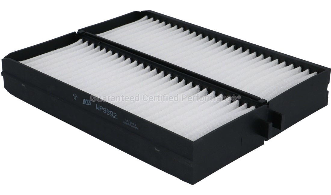 Pollenfilter, Pollenfilter