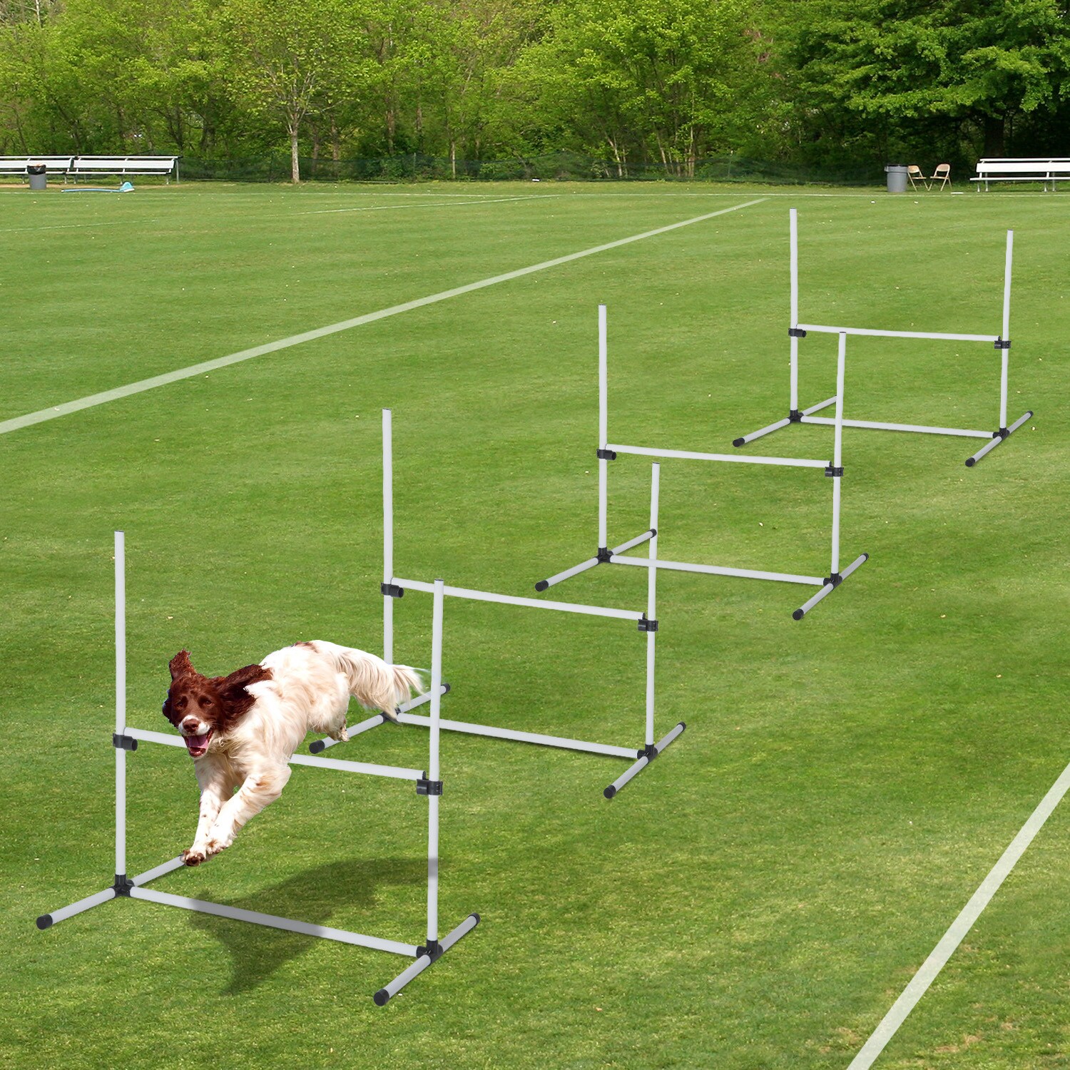 PawHut Agility Hürdenset als 4er Set weiß