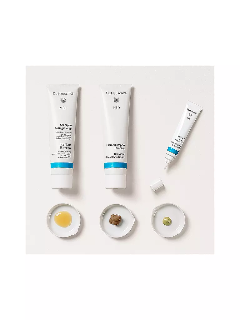DR. HAUSCHKA Haarpflege - Kopfhautmaske Kürbiskern 25ml keine Farbe