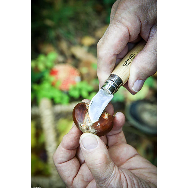 Couteau N°07 châtaigne, ail et dénoyauteur Opinel