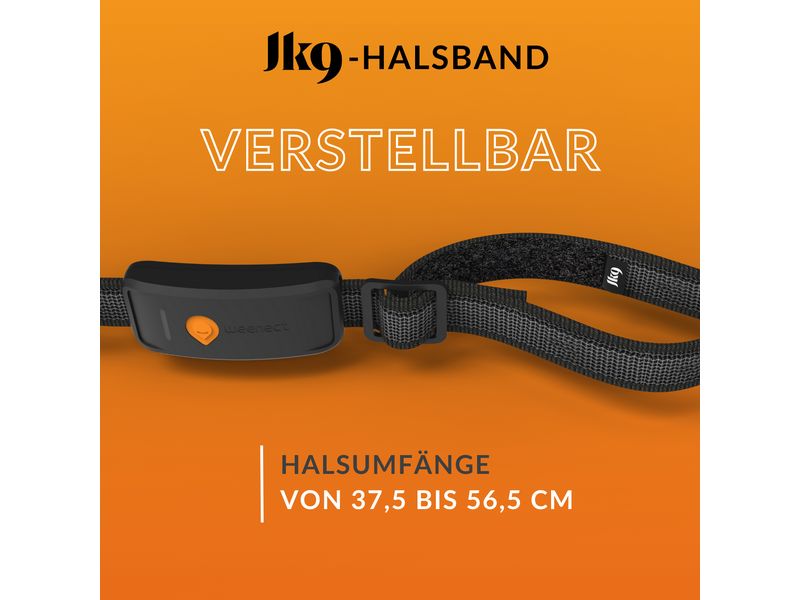 Weenect GPS-Tracker für Hunde XT mit Halsband schwarz Verstellbares Halsband mit Tracking-Funktion