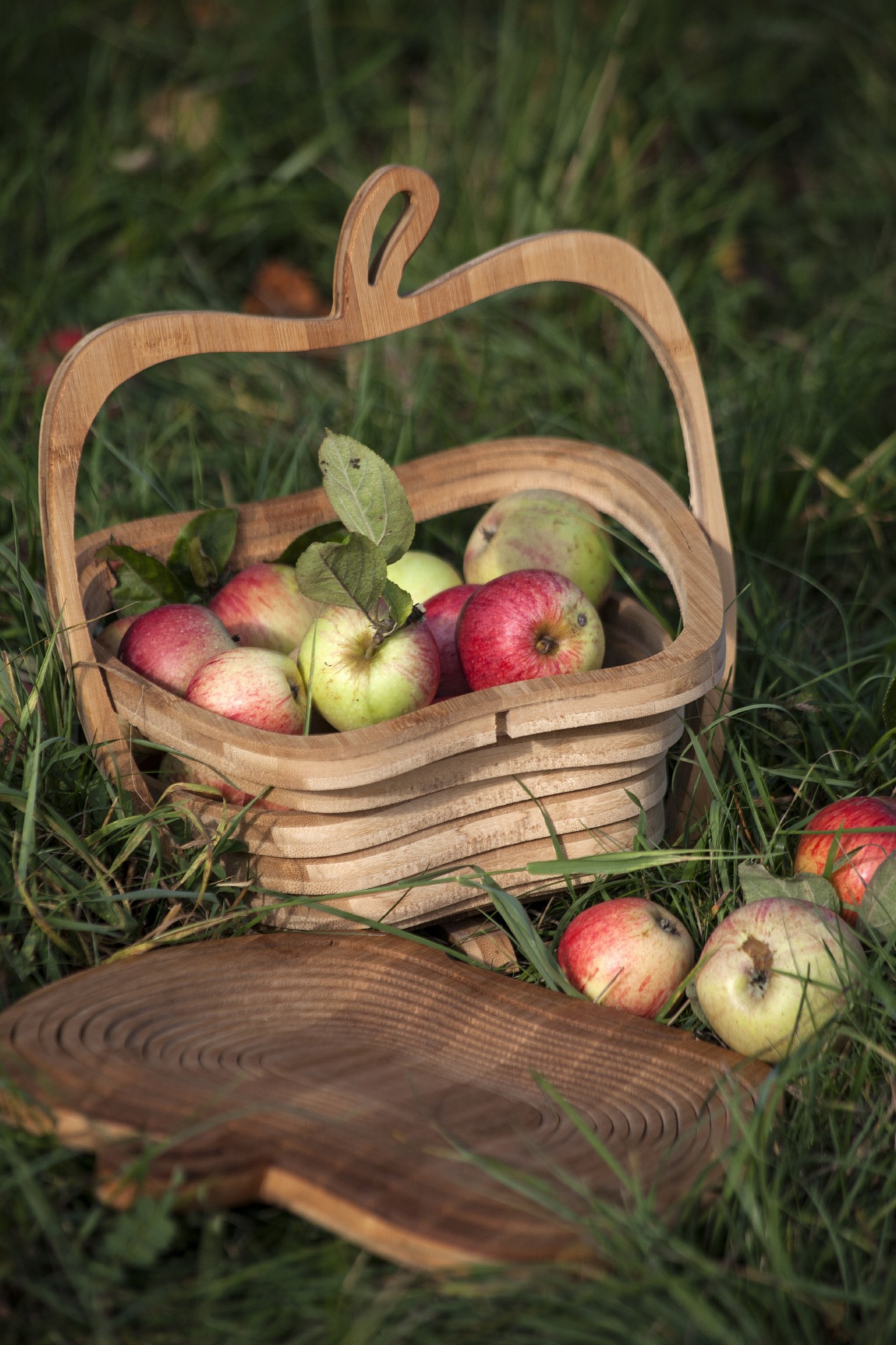 Fruchtkorb 'Apfel', Bambus, T 30 cm, B 27 cm, H 2 cm von fischer's lagerhaus