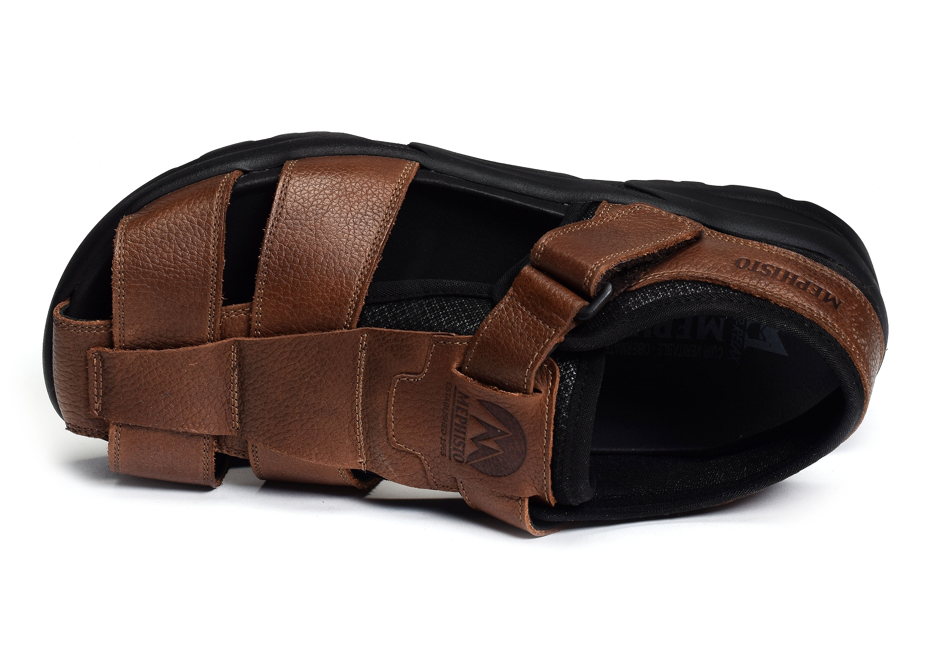 Toren camel