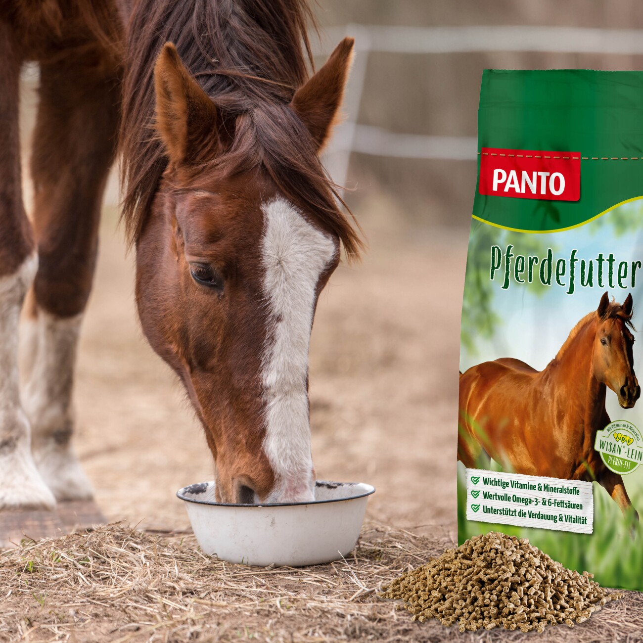 Panto PFERDEMINERAL MIT WISAN-LEIN 20kg