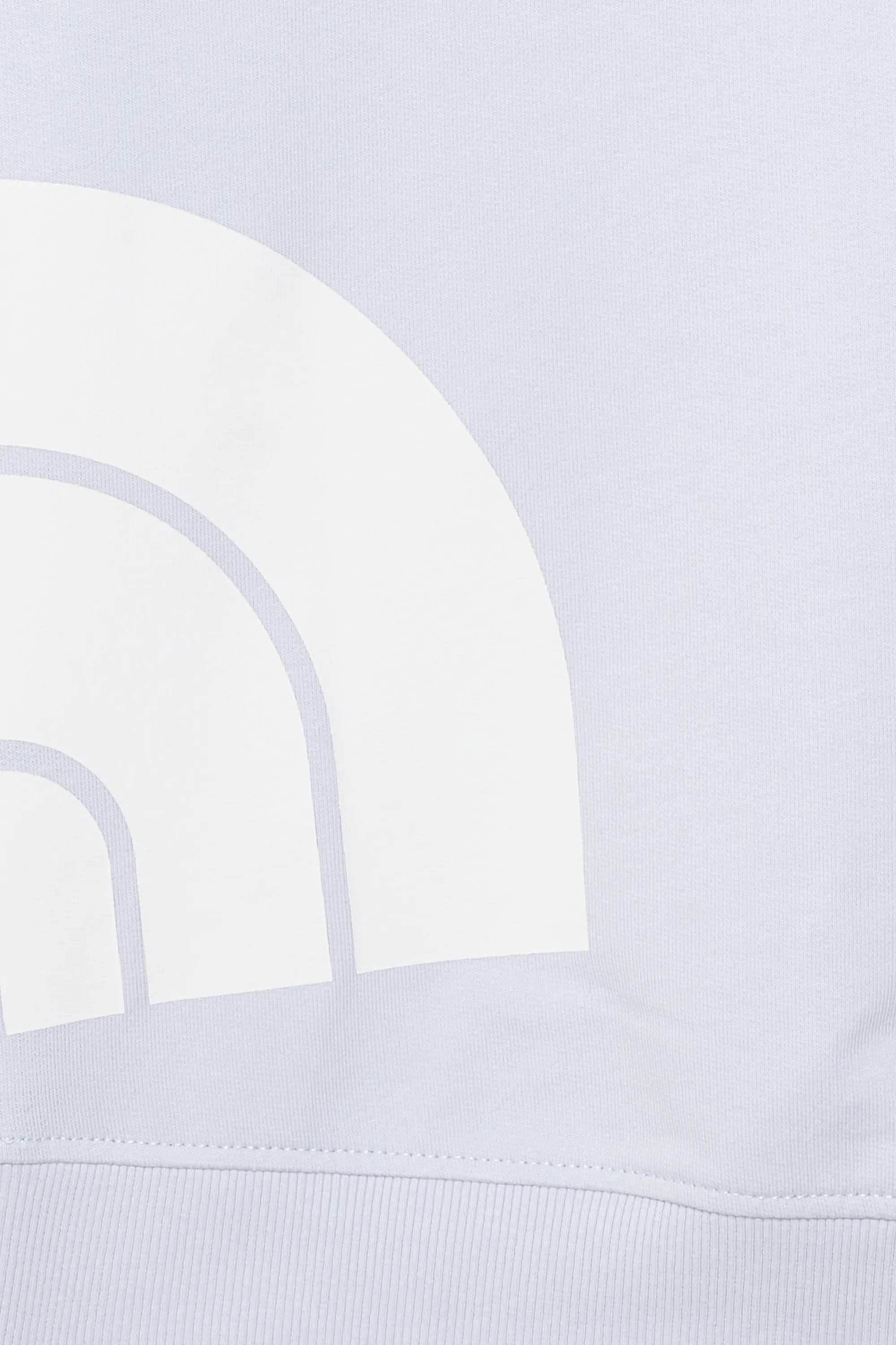 THE NORTH FACE Sweat W BLOWN UP LOGO CREW Bleu