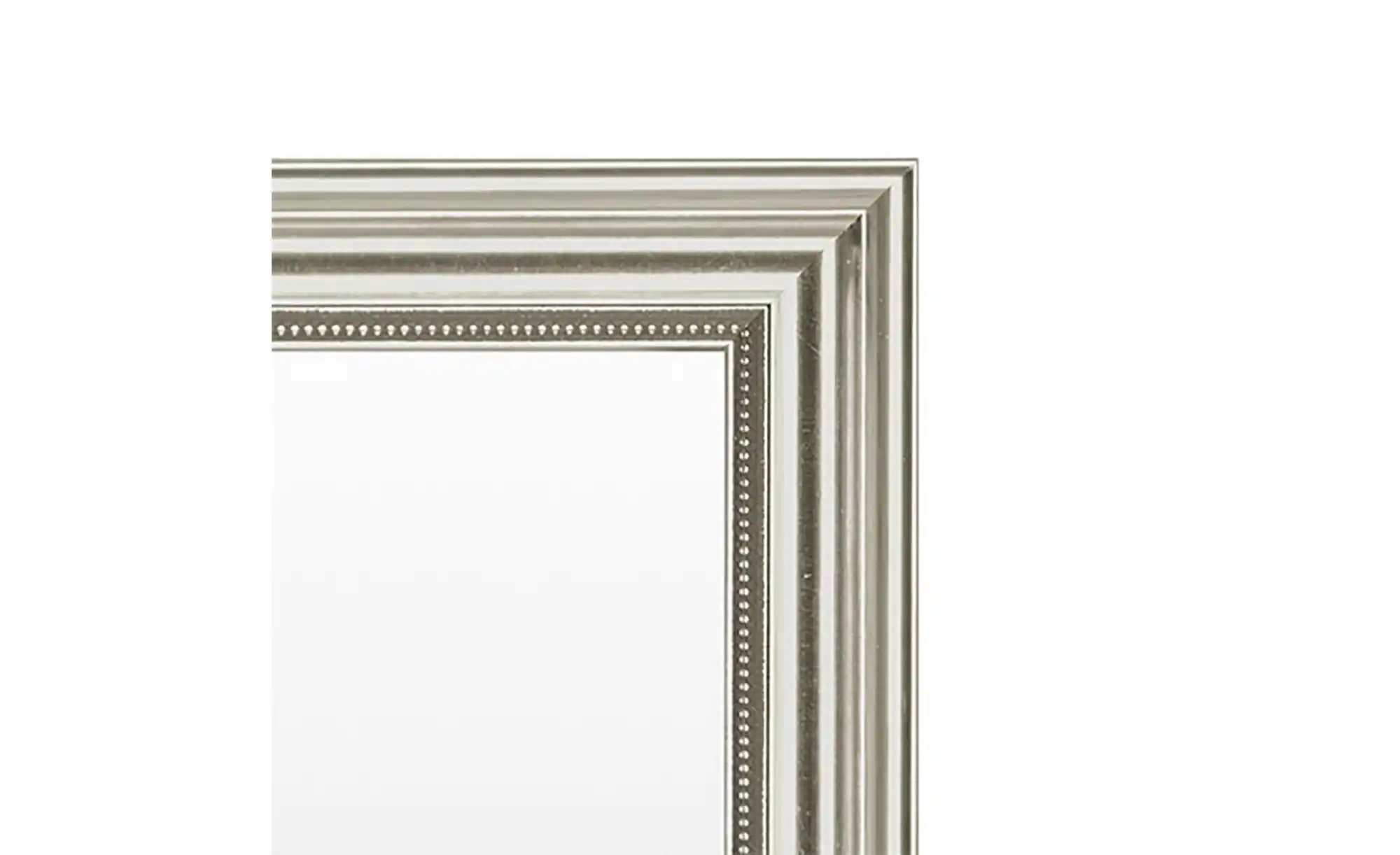 Spiegel 55 x 145 cm
