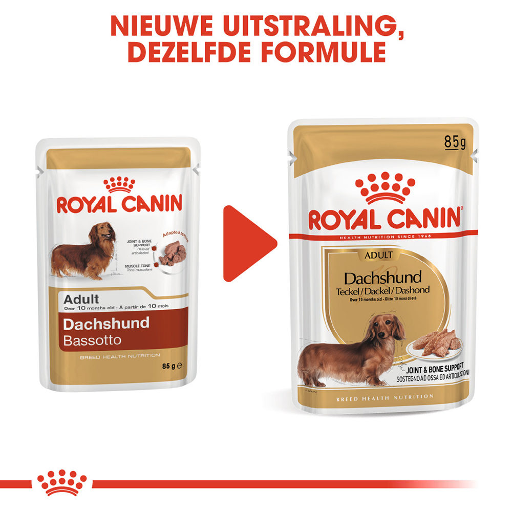 Royal Canin Dachshund Adult Wet - Hondenvoer