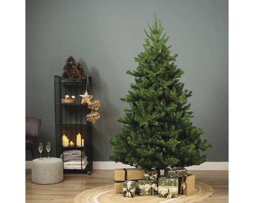 Kunstkerstboom Everlands D 116 cm H 180 cm groen