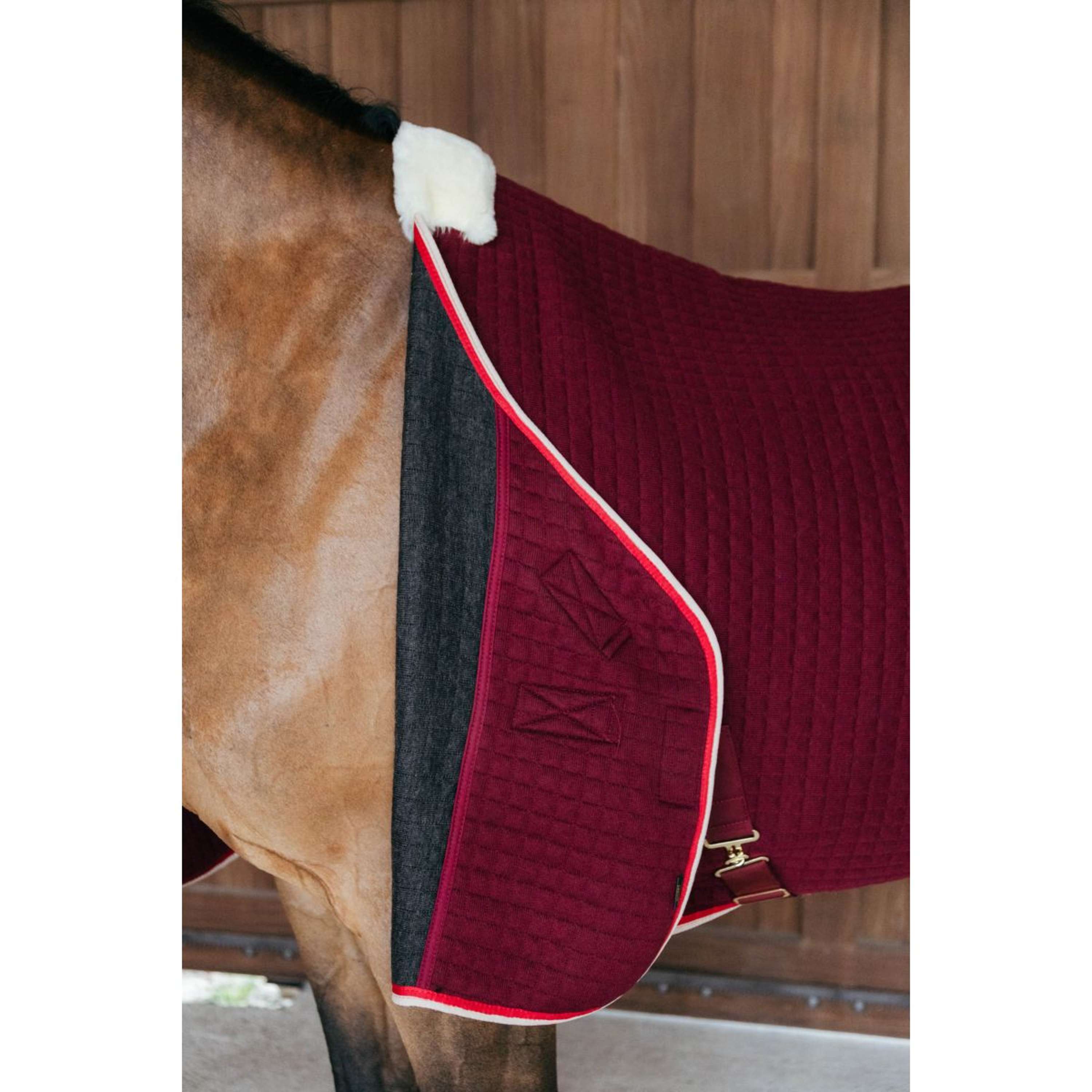 Kentucky Cooler PROTherm Bordeaux