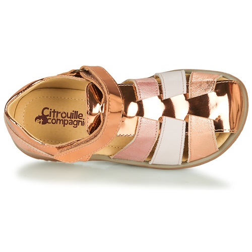 Citrouille et Compagnie - FRINOUI - Bronze / Rose