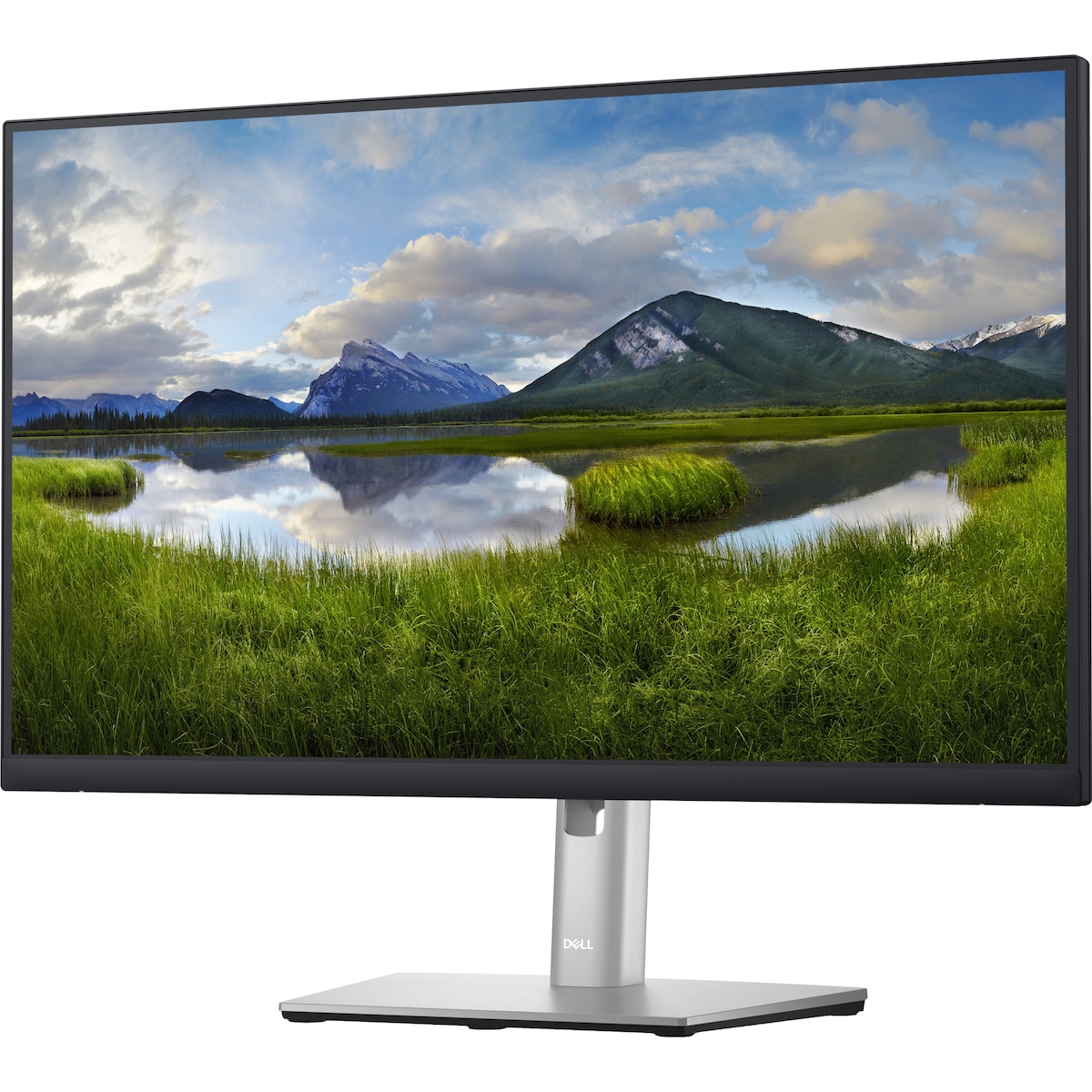 Dell P2423D 23,8