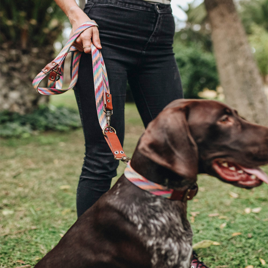 Guia para cães artesanal Bark Gaucho Zoe