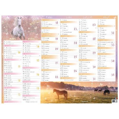 Calendrier Cheval - 7 mois par face - 32 x 42 cm - Oberthur