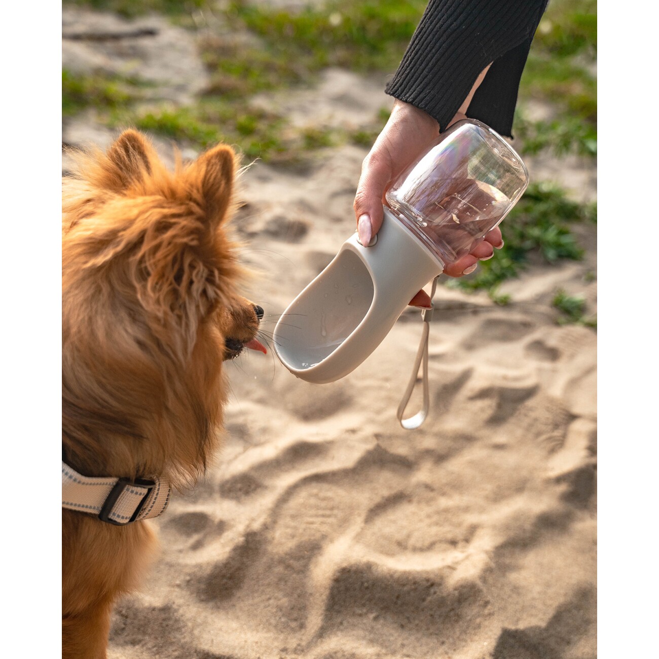 Lionto Hundetrinkflasche für Unterwegs