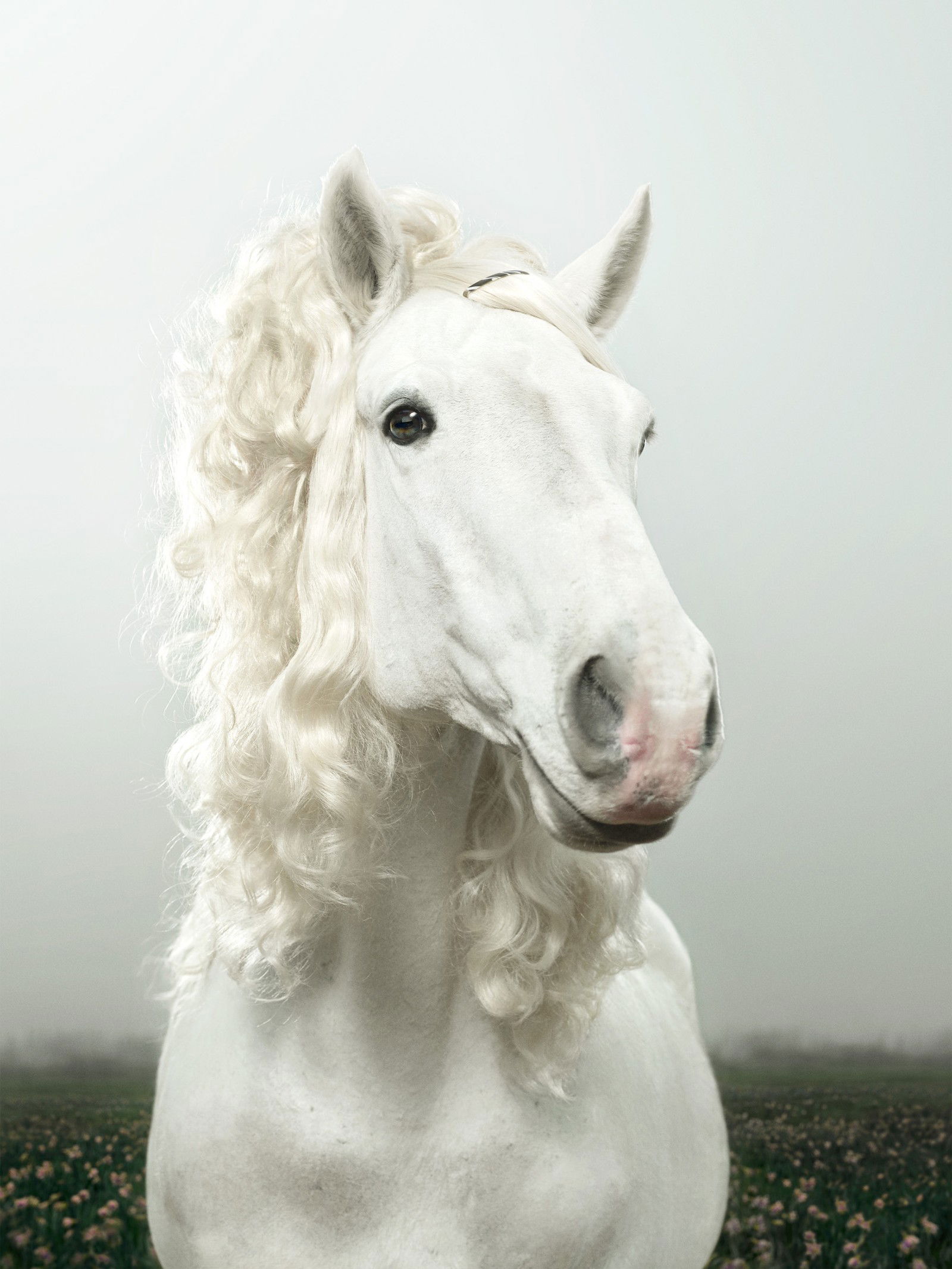 Misty by Julian Wolkenstein - Limited Edition. Edition of: 150. Signed.