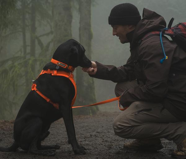 RUFFWEAR® Halsband Front Range™