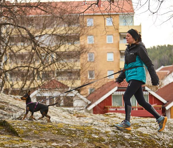 Non-stop dogwear Hundeleine Touring bungee