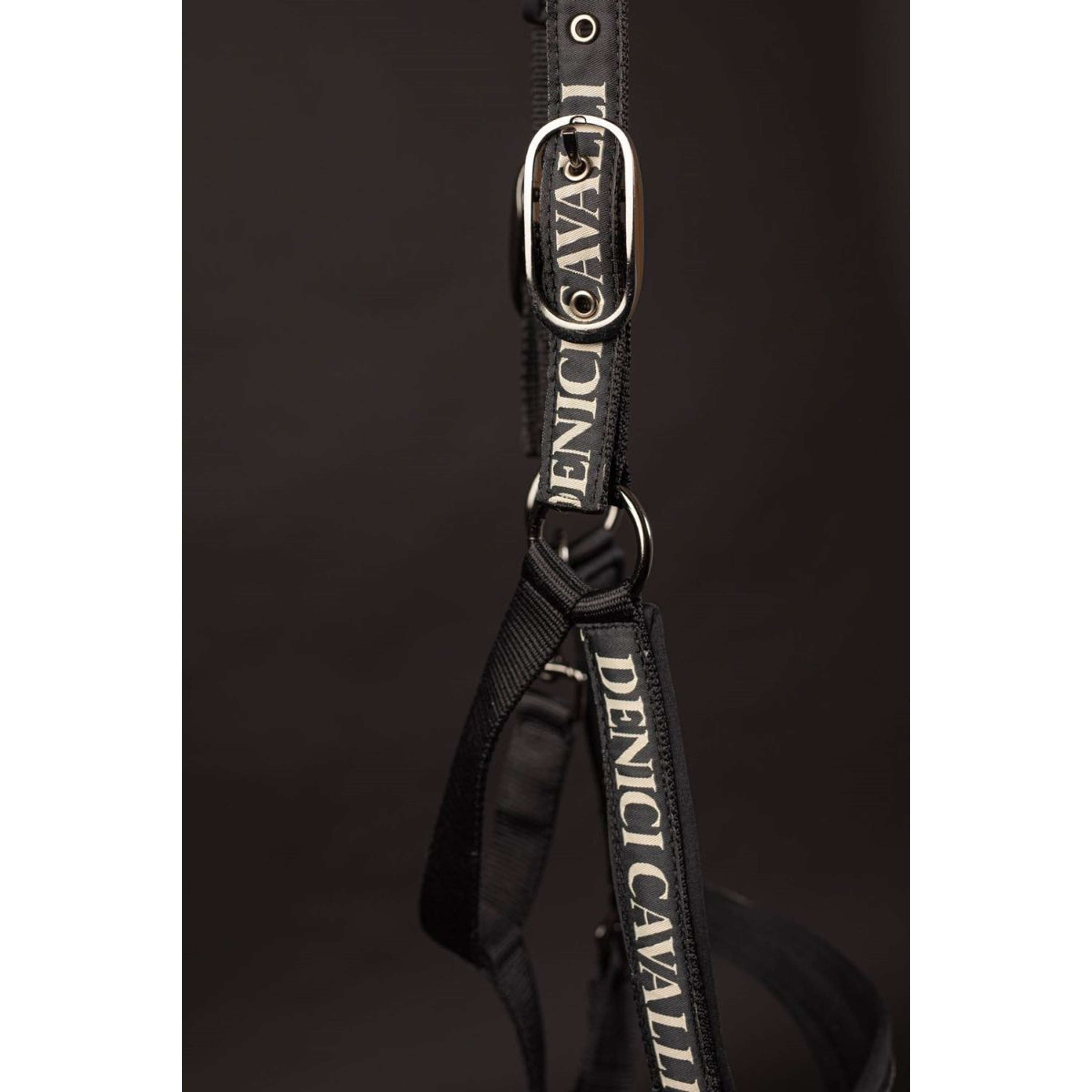 Harry's Horse Halsterset Denici Cavalli Stardust Zwart