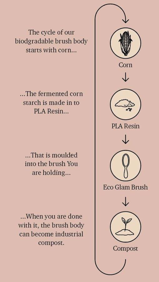 Fan Palm Nylon Brush Eco Glam Medium