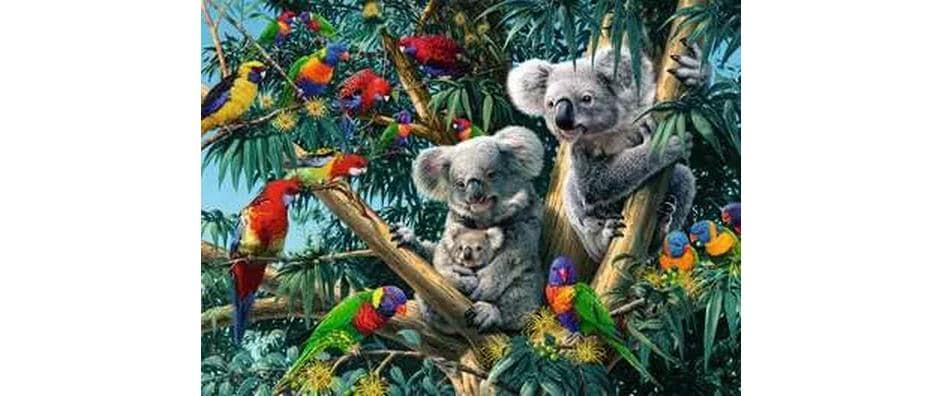 Puzzle Koalas im BaumKlassisches Puzzle