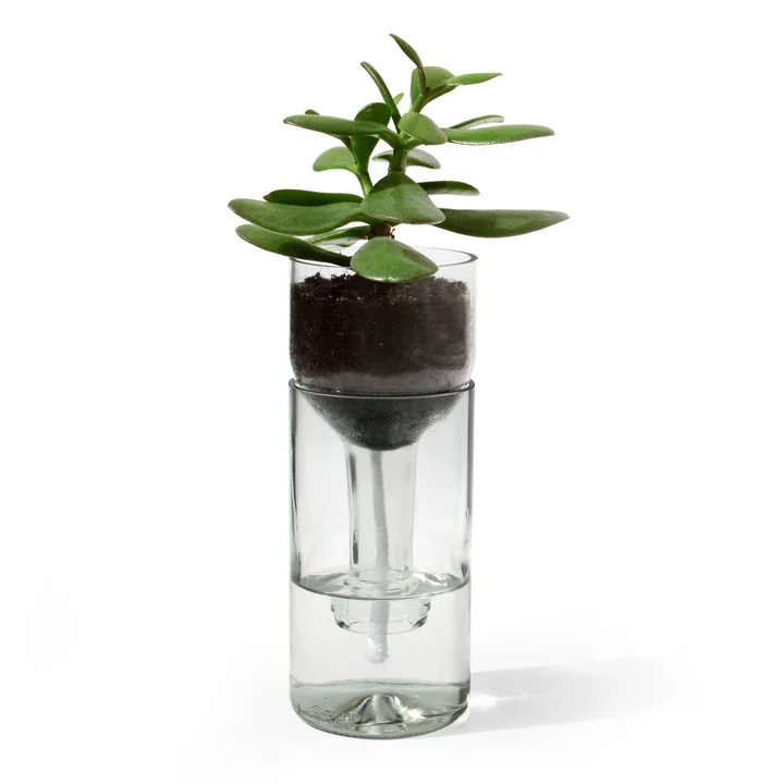 side by side - Self Watering Bottle Blumentopf, klarglas