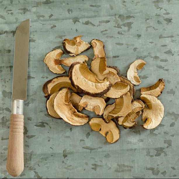 Cèpes séchées extra - Terres & Sauvagines