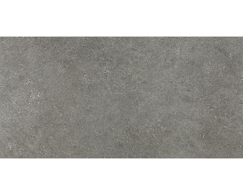 Porseleinen steengoed wand- en vloertegel Alpengrijs mat gerectificeerd 60 x 120 x 1,0 cm