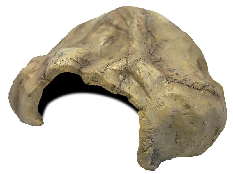 Repto Deco Cave XL, 37 x 29 x 17 cm Versteck für Reptilien und Amphibien