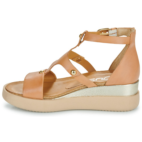 Mjus - TIPA Camel
