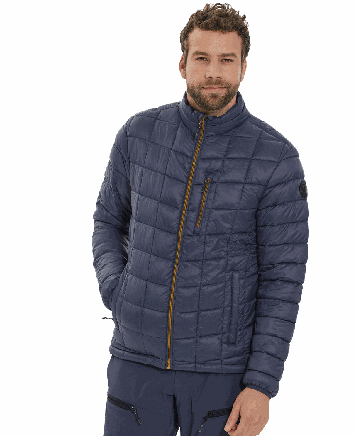 Whistler<br>Luis M CFT+