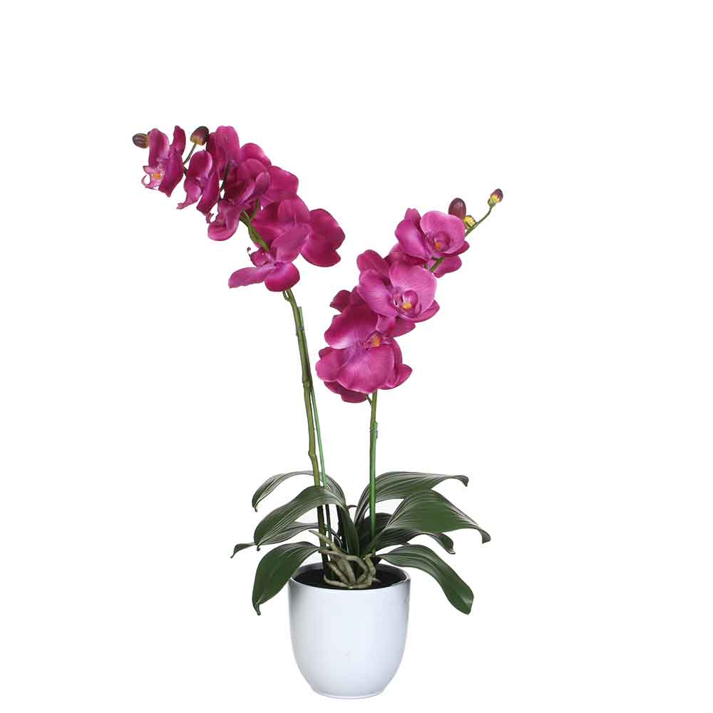 Mica decorations plante artificielle phalaenopsis - 38x38x66 cm - pe - blanc
