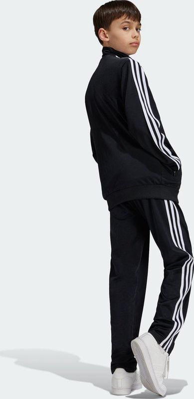 adidas - Firebird - Sportbroek - Multicolor - 100% Gerecycled Polyester