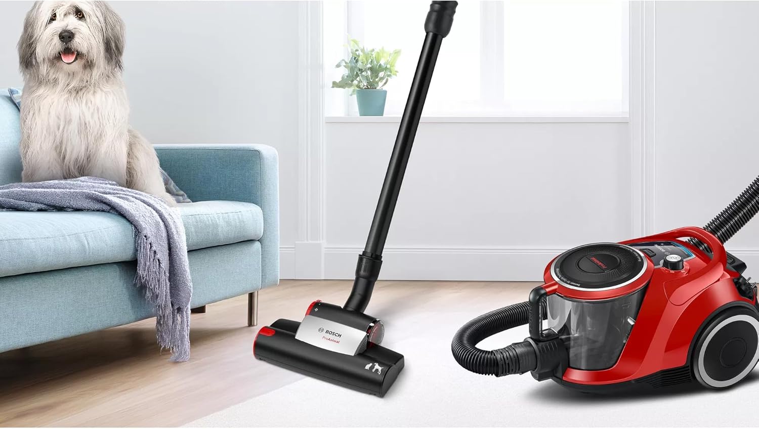 Bosch Staubsauger beutellos Serie 6 BGC41PET, Bodenstaubsauger, ideal für Tierhaare und Allergiker, Hygiene-Filter, 10 Jahre Motorgarantie, für Parkett, Teppich, Fliesen, Turbo-Düse, leise, 700 W, rot