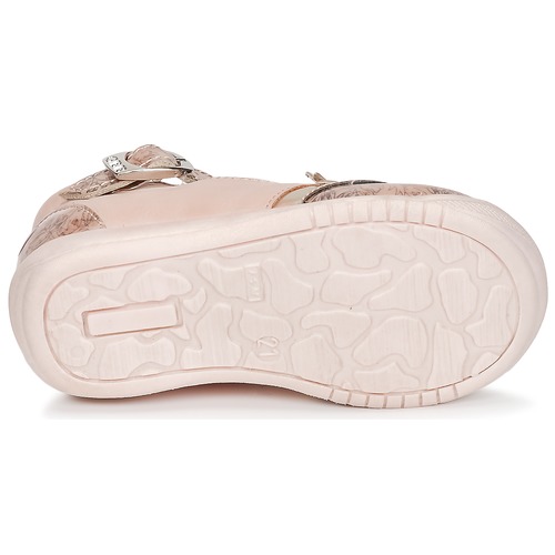 GBB - SELVINA - Rose