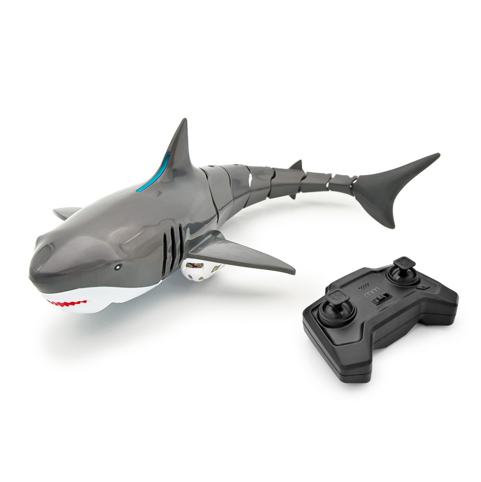 RC Shark