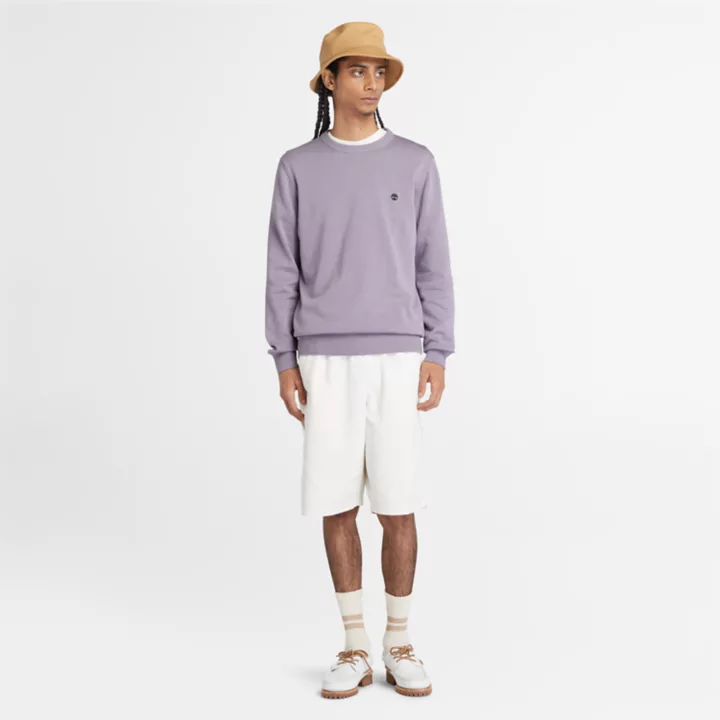 Pull à col rond Williams River pour homme en violet