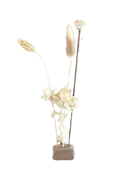 Droogbloem in klei M natural