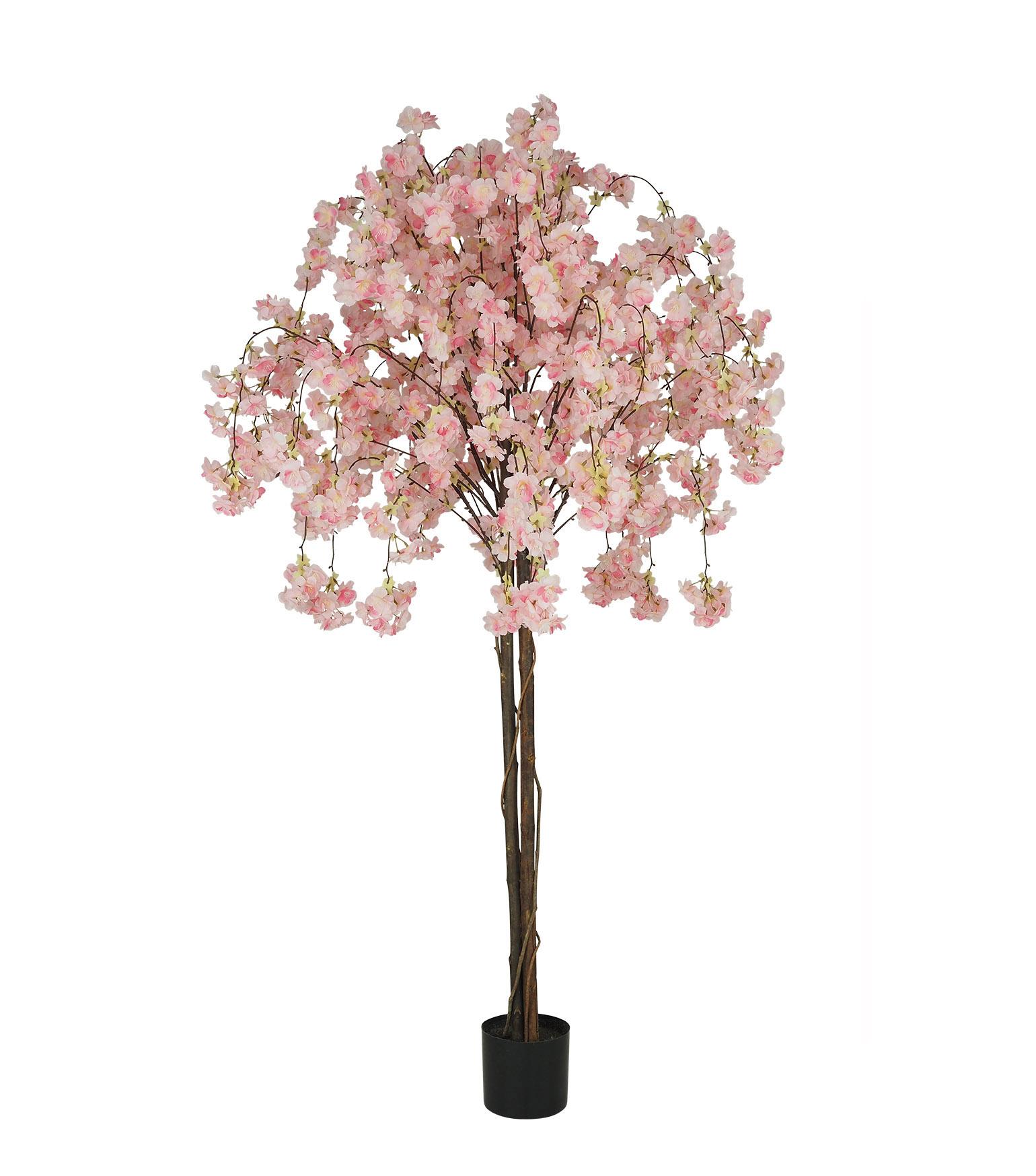POMMIER 1398 FLEURS POT PLASTIQUE NOIR H.170CM