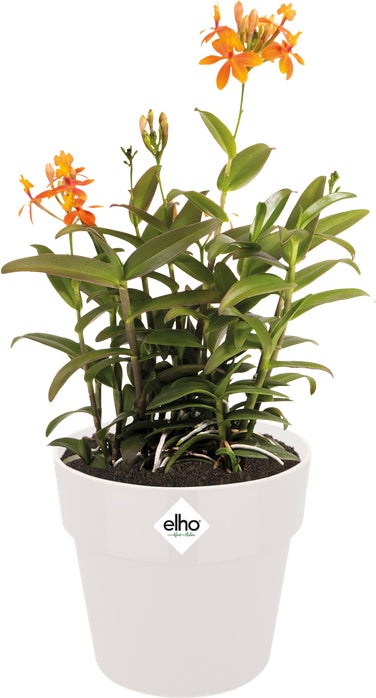 Elho bloempot B for original rond D 16 H 14,6 cm wit