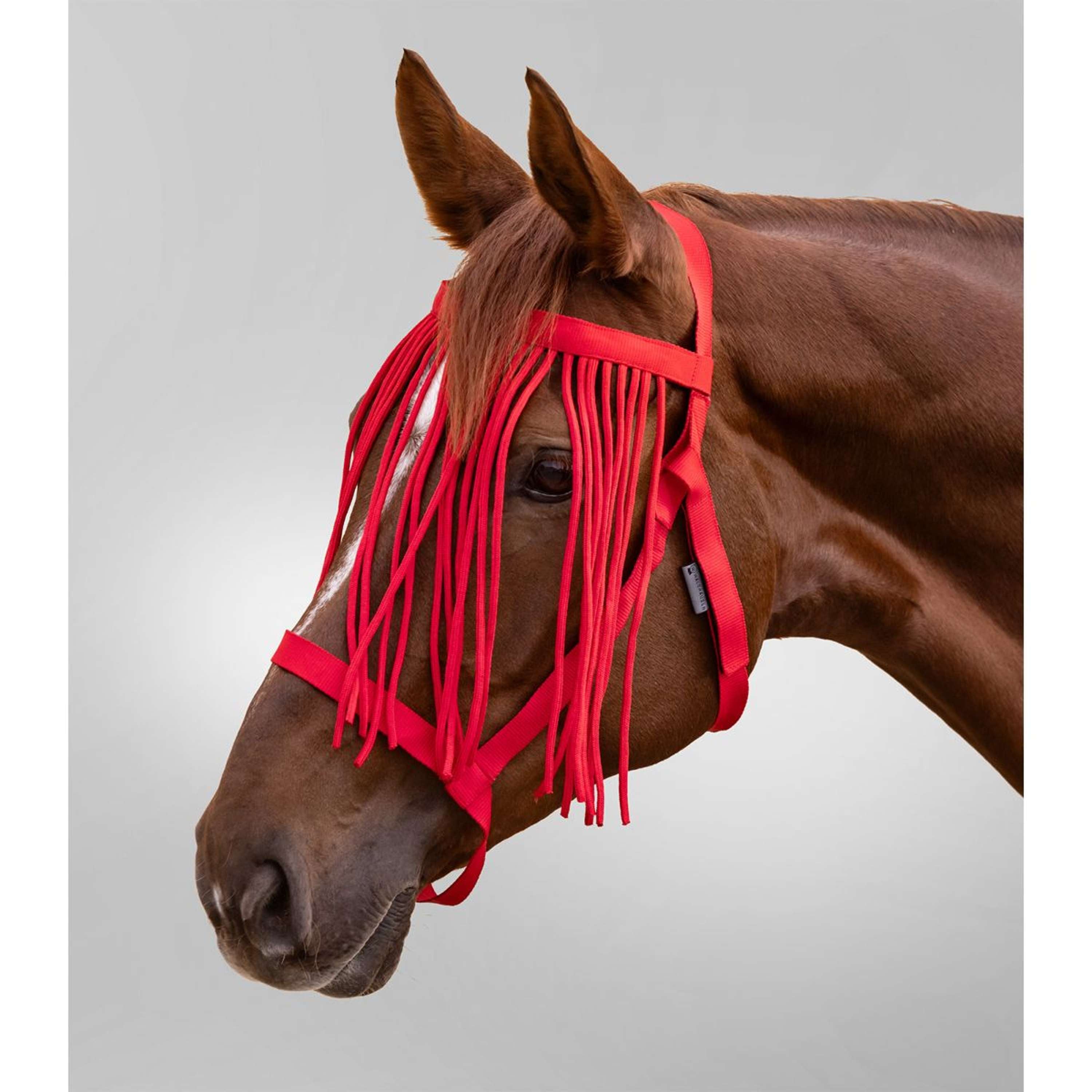 Waldhausen Halster Grazing met Franje Rood