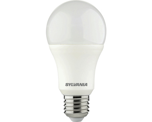 LED lamp mat A67 E27/13W (100W) 1521 lm 6500 K daglichtwit 865