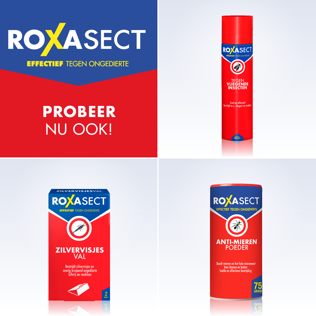Roxasect Spuitbus tegen kruipende insecten/wespen (400 ml)
